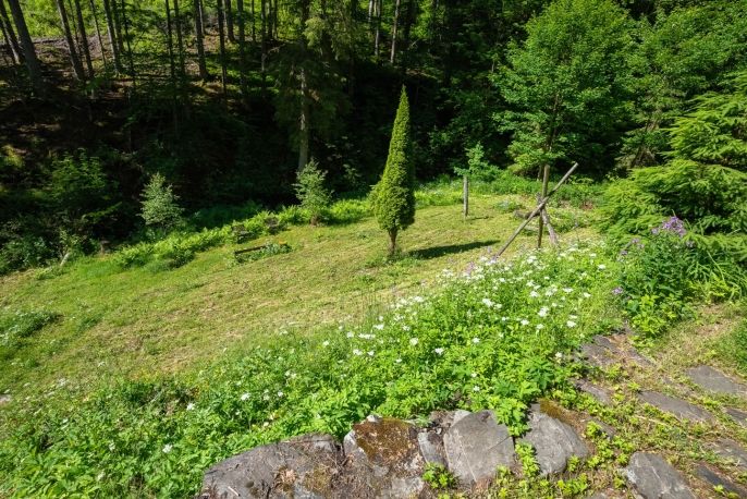 Prodej, Les, Jablonec nad Jizerou