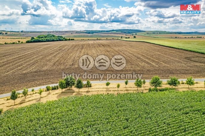 Prodej, Pole, Žatčany