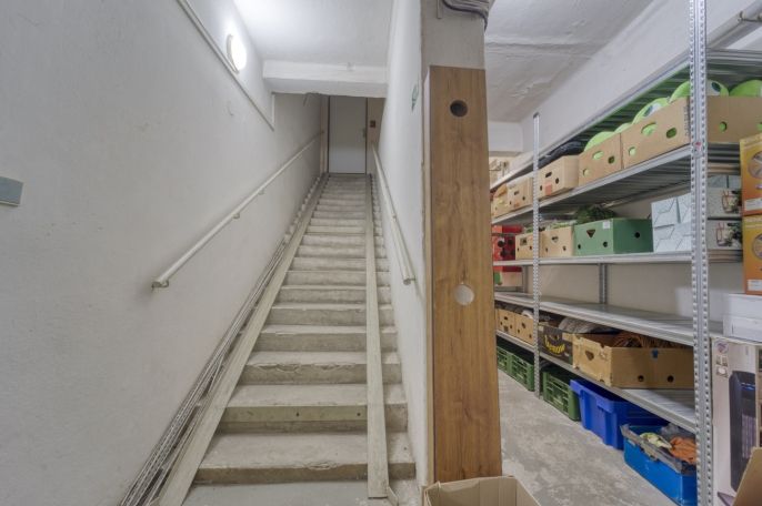 Pronájem, Obchod a služby, Plzeň