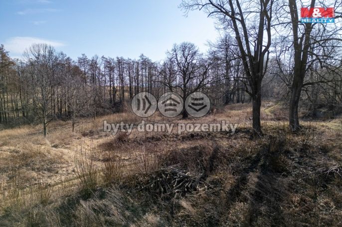 Prodej, Pozemek k bydlení, Vlčice