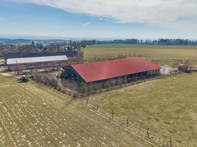 Prodej, Zemědělský objekt, Brzice