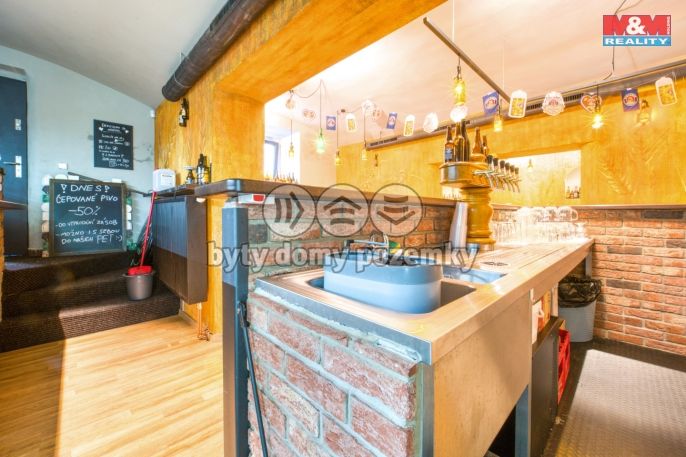 Pronájem, Obchod a služby, Plzeň