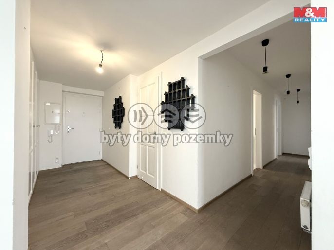 Pronájem, Byt 3+kk, Dolní Břežany