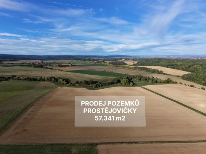 Prodej, Pole, Prostějovičky