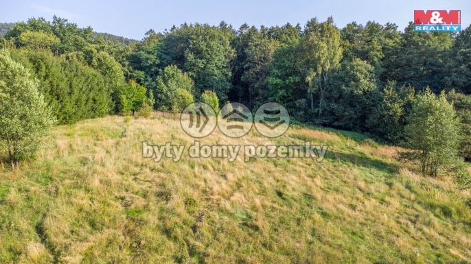 Prodej, Louka, Nový Bor