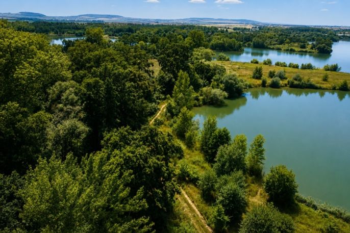 Prodej, Vodní plocha, Kolín