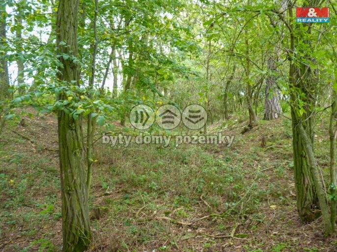 Prodej, Les, Drahobuz