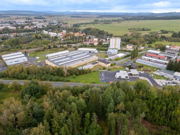 Prodej, Louka, Toužim