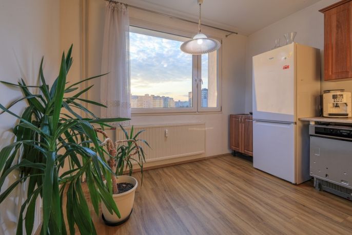 Prodej, Byt 4+1, Plzeň