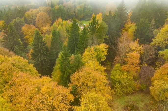 Prodej, Ostatní, Nová Ves nad Nisou