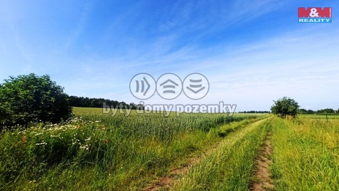 Prodej, Pole, Měnín