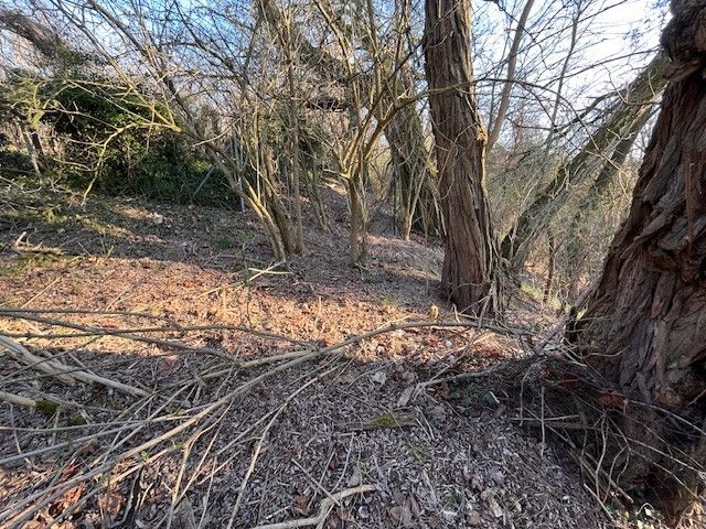 Prodej, Pozemek k bydlení, Škvorec