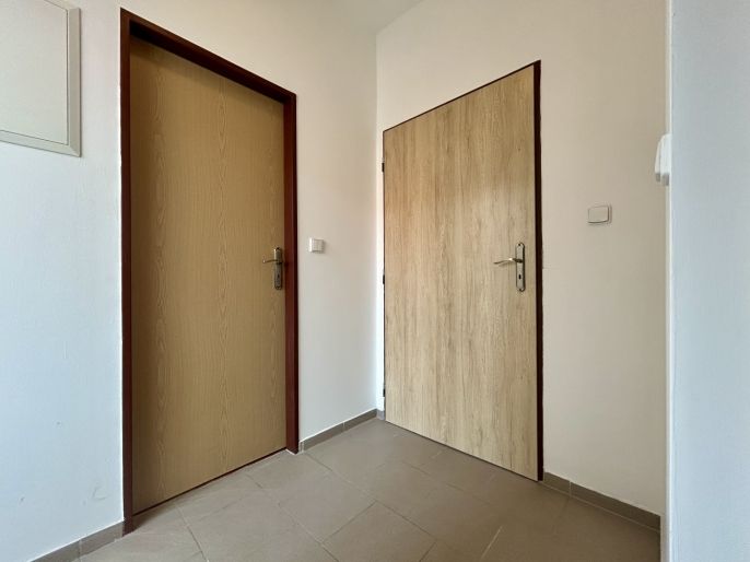 Pronájem, Byt 1+1, Švihov