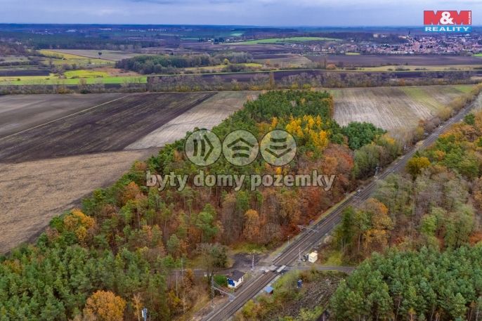 Prodej, Les, Lysá nad Labem