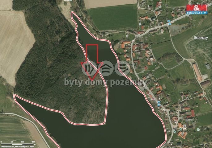 Prodej, Les, Borovany