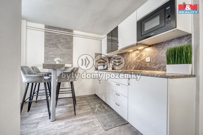 Prodej, Hotel, penzion, Železná Ruda