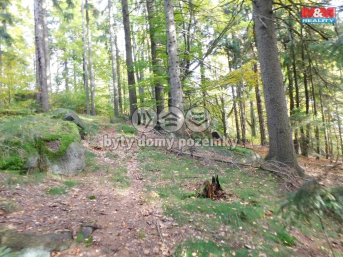 Prodej, Louka, Lučany nad Nisou