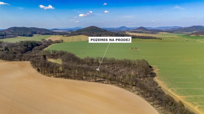 Prodej, Louka, Tachov