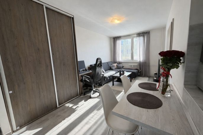 Pronájem, Byt 2+kk, Louny