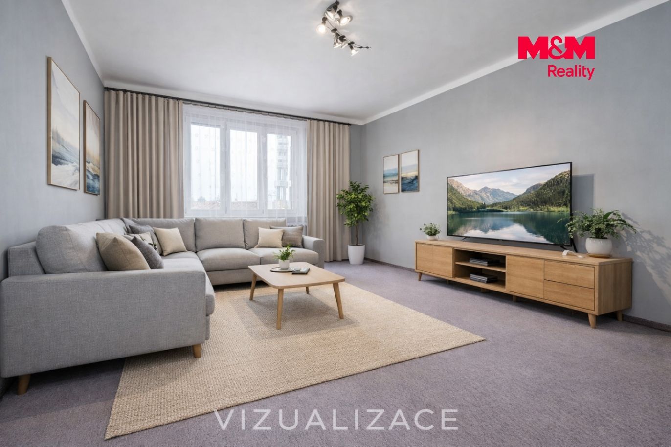 Vizualizace