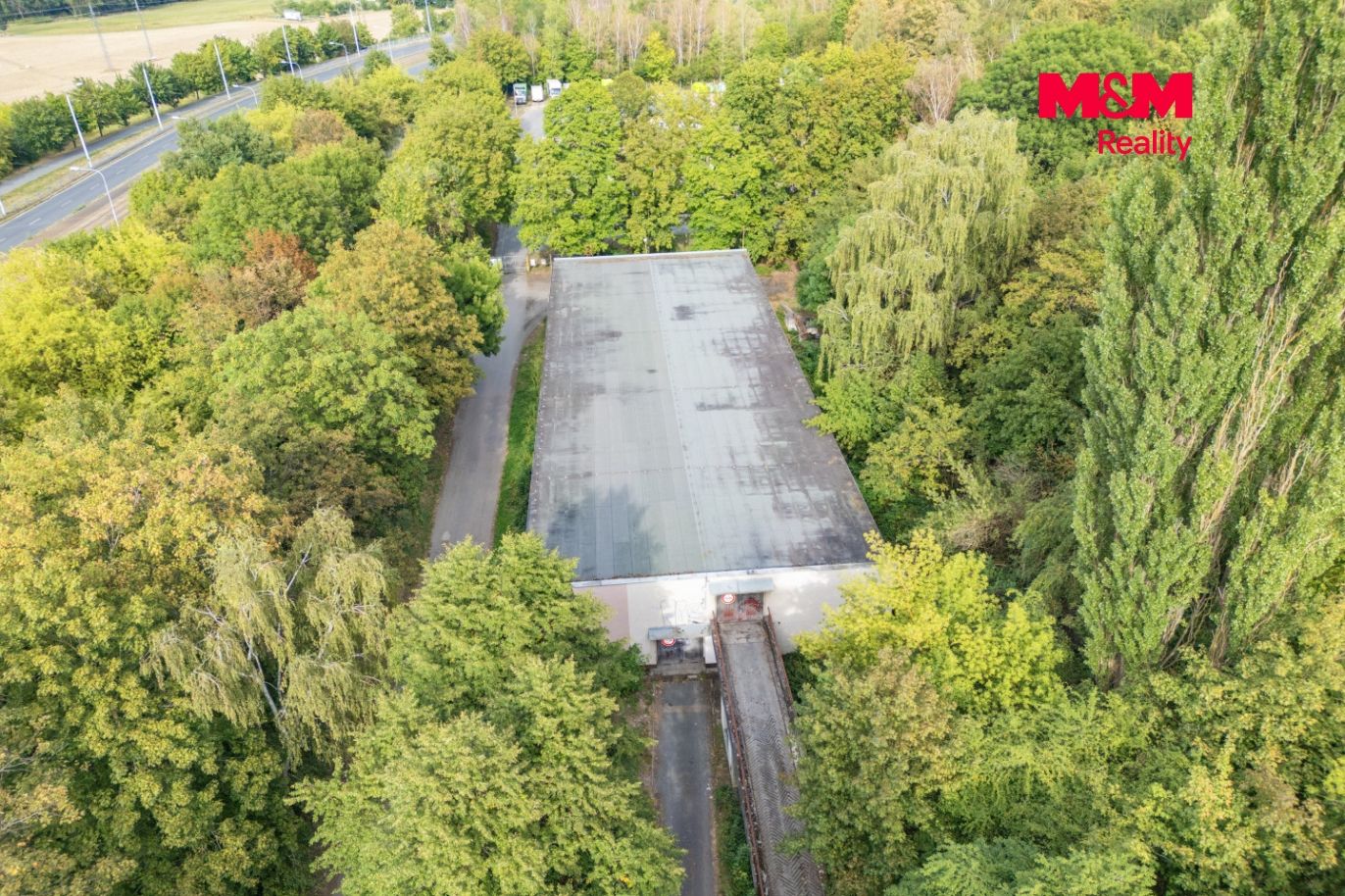 DJI_0216.jpg