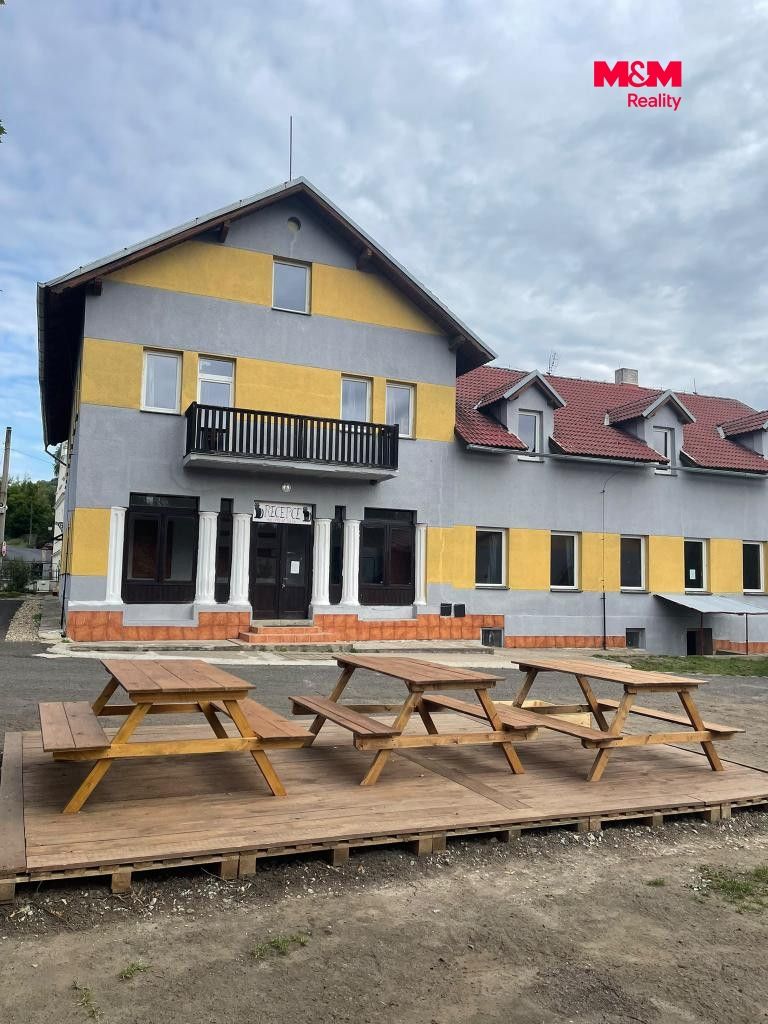 Levínský kocour