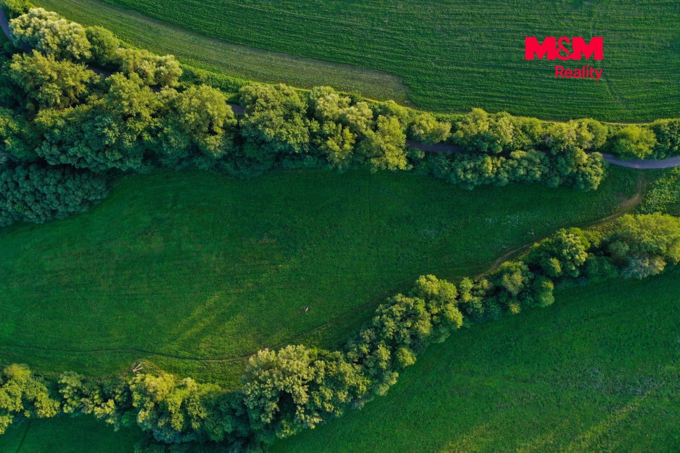 DJI_0665.jpg