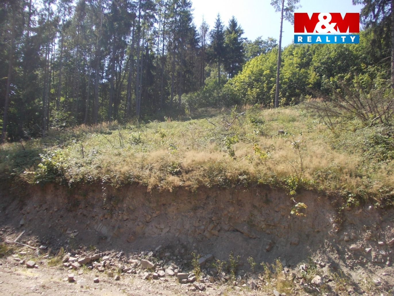 DSCN8937.jpg