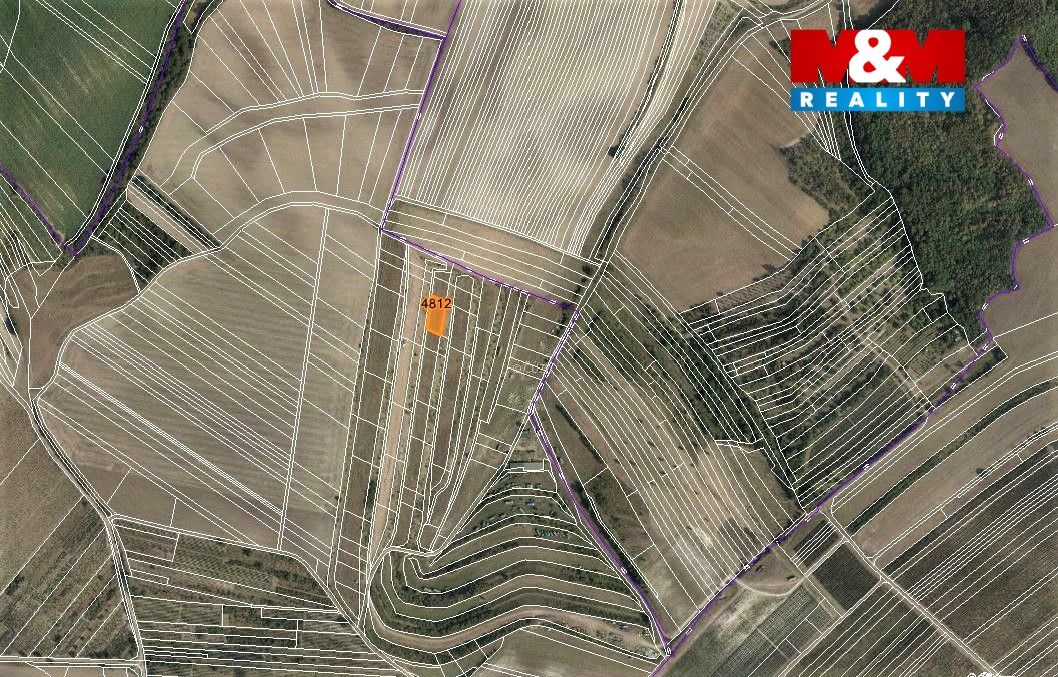 mapka