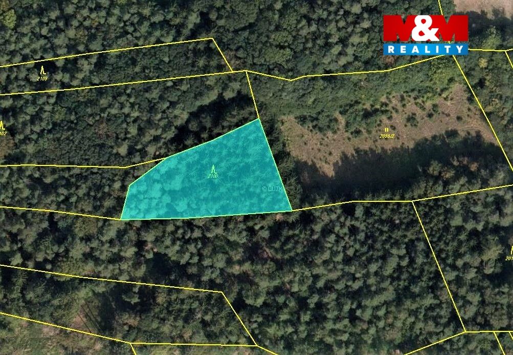 mapka