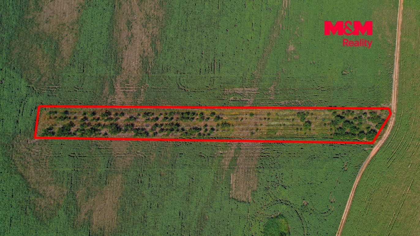 DJI_0950 kopie.jpg