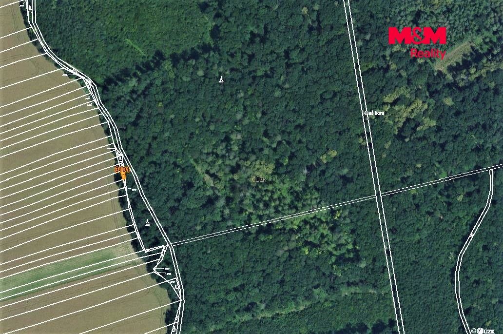mapka