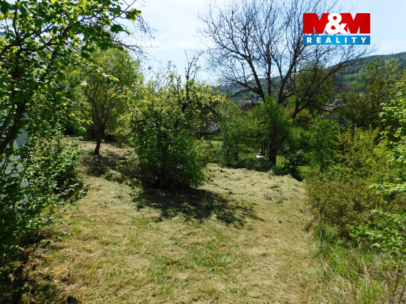 DSCN2698.jpg