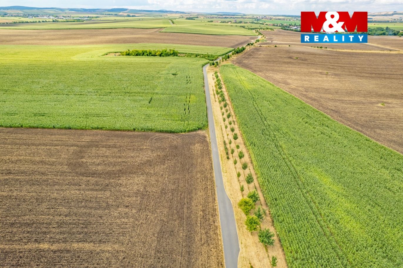 DJI_0954.jpg