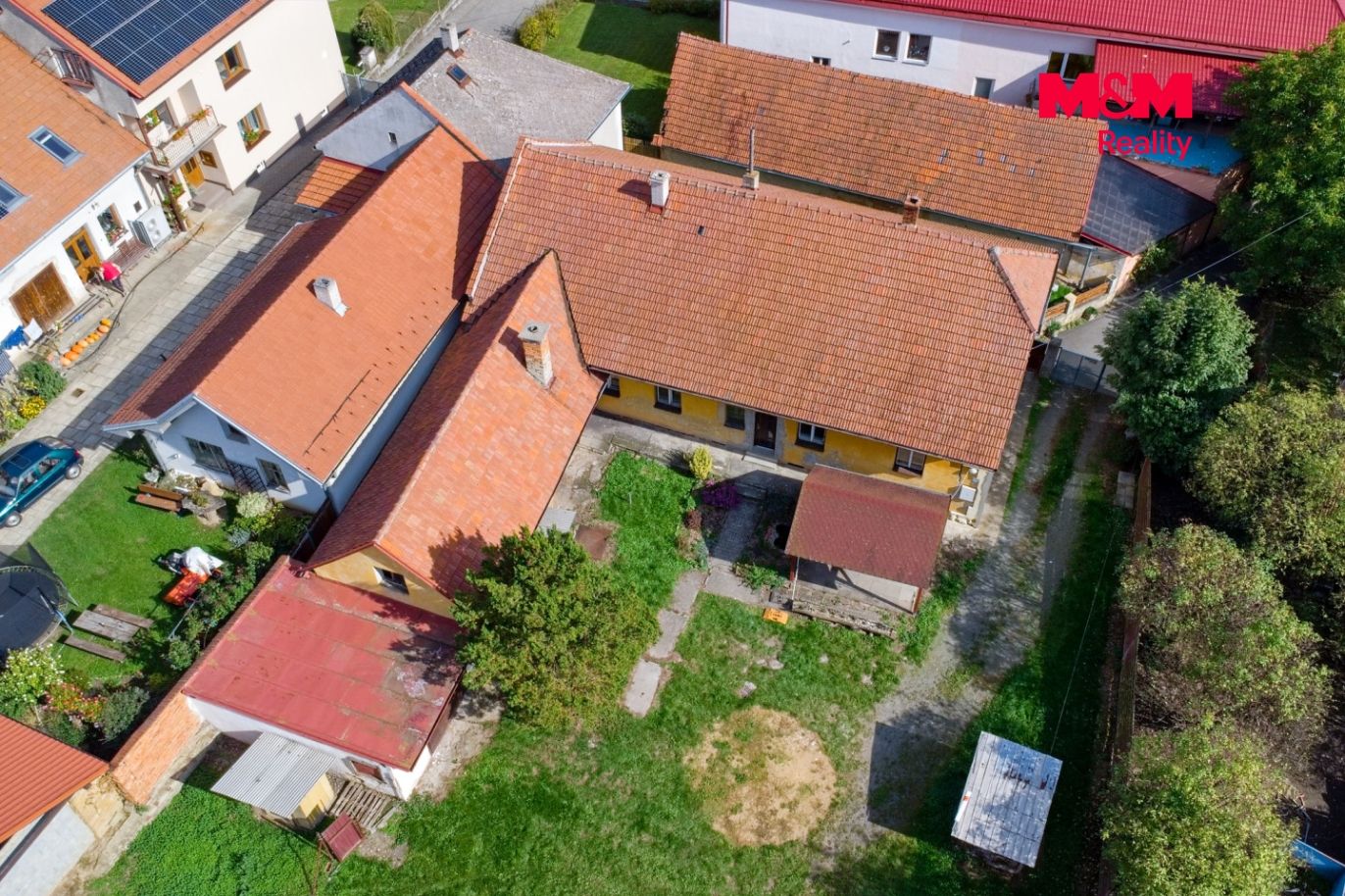 811-ZooDJI_0780.jpg