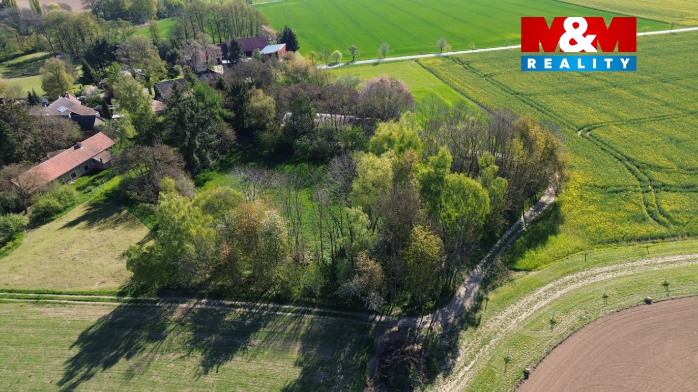 DJI_0994.jpg