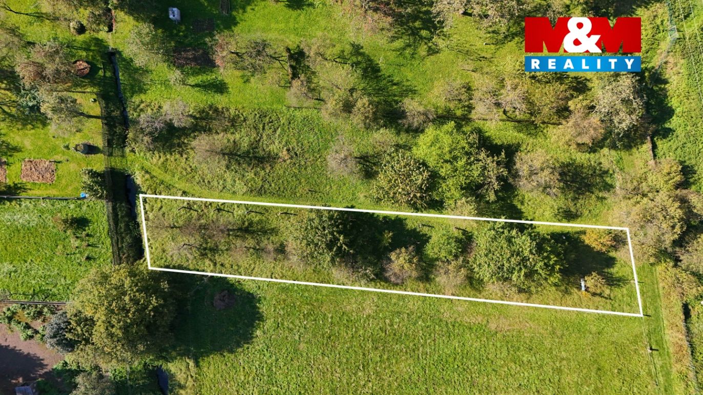 DJI_20251003124651_0558_D.jpeg