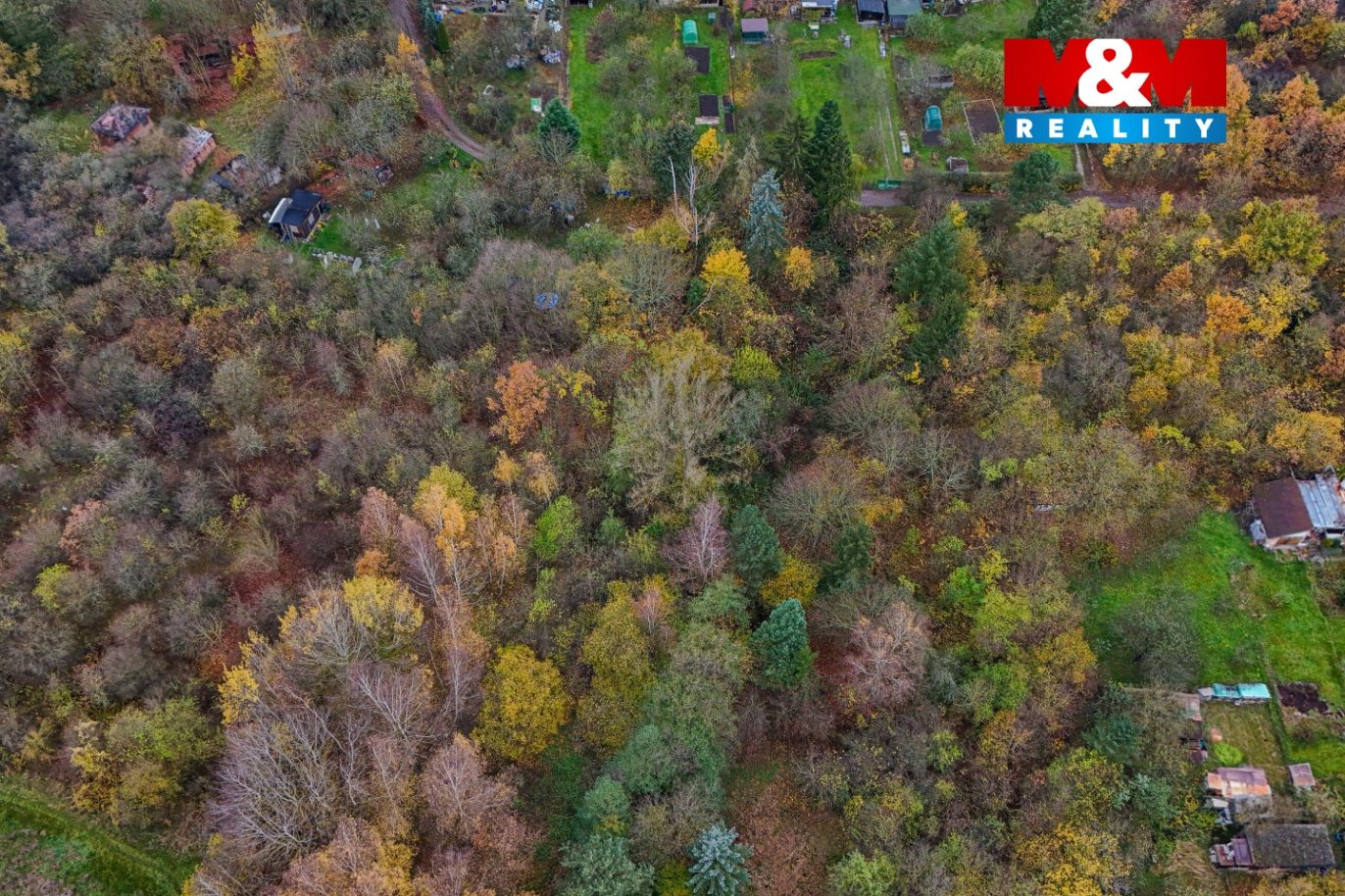 DJI_20241114095430_0888_D.jpg