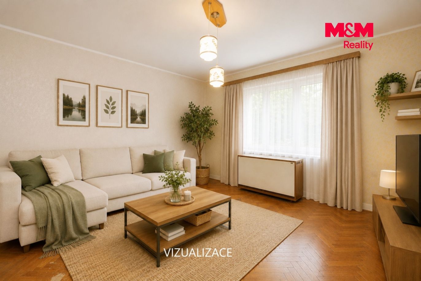 Vizualizace