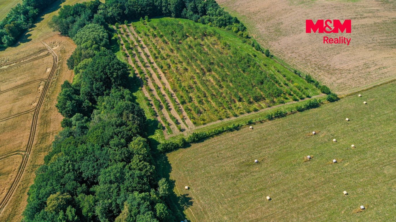 DJI_0830.jpg