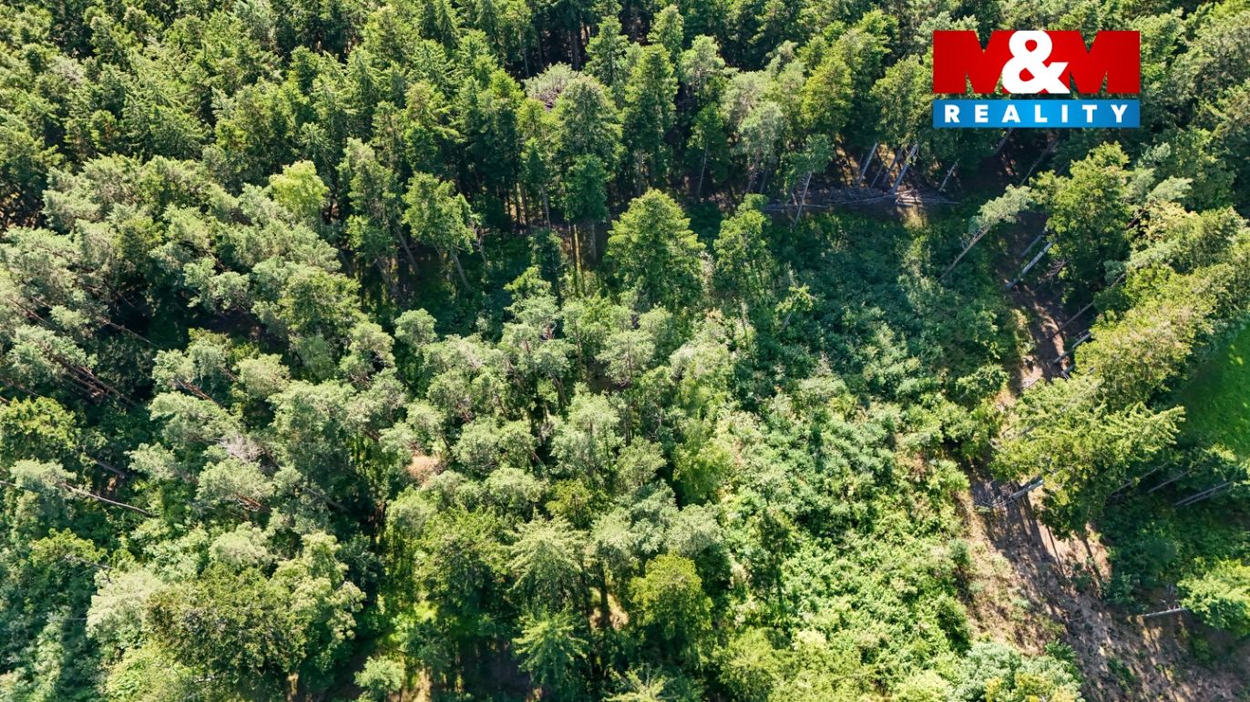 DJI_20250729175932_0204_D.jpg