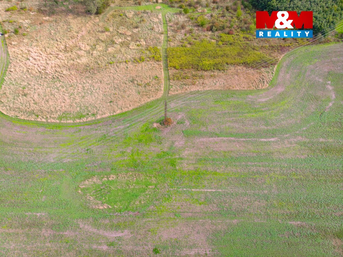 DJI_0557.jpg