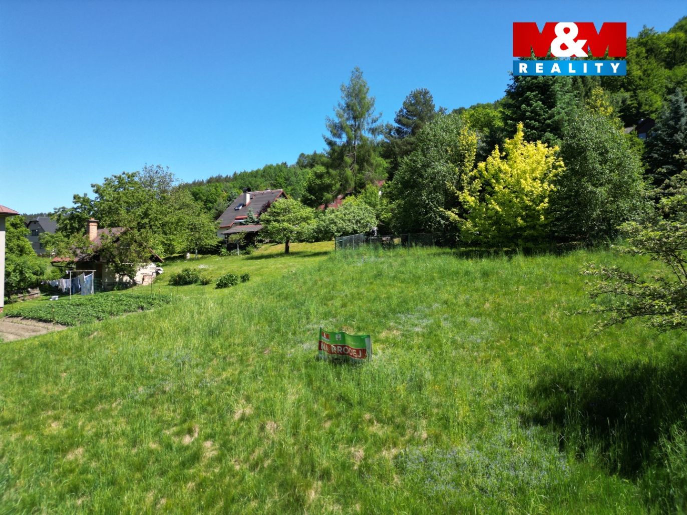 DJI_0195.jpg