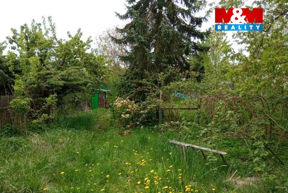 m1.jpg