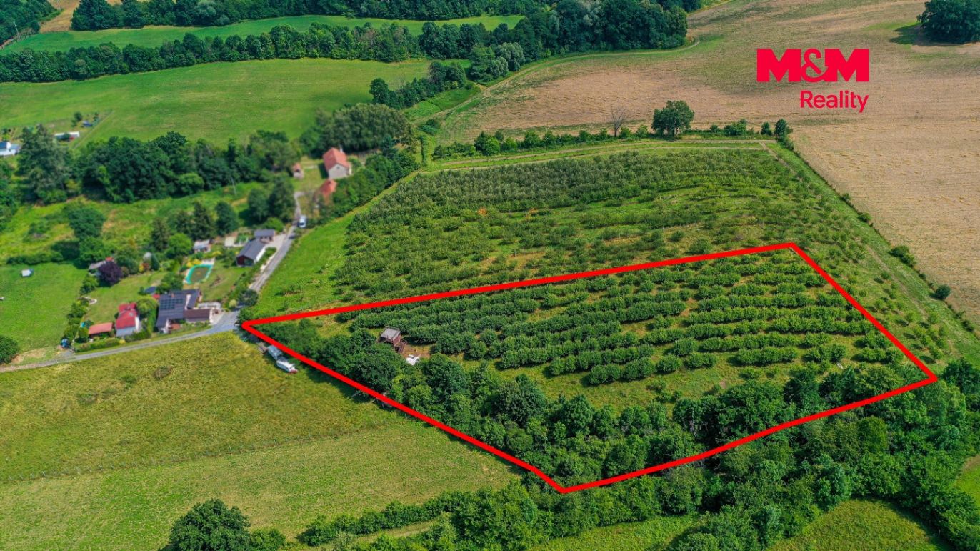 DJI_0810 kopie.jpg