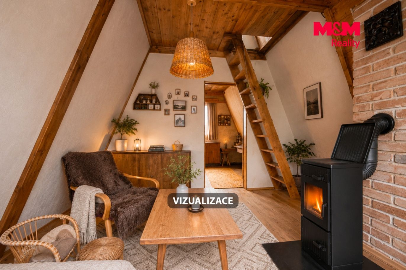 Vizualizace