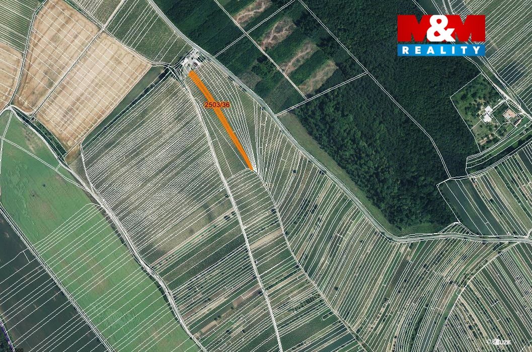 mapka