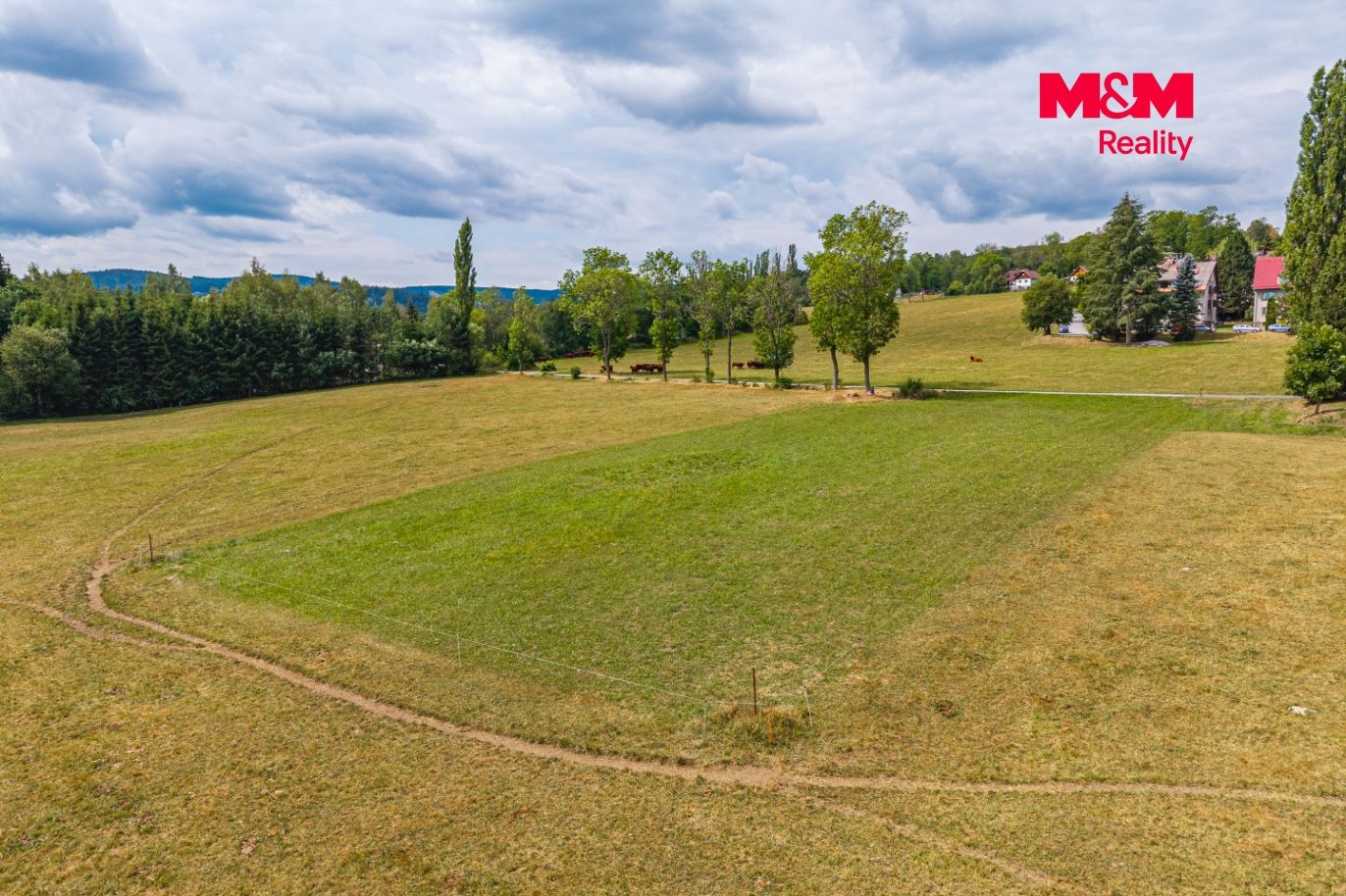 DJI_20260112055458_0012_D.jpg