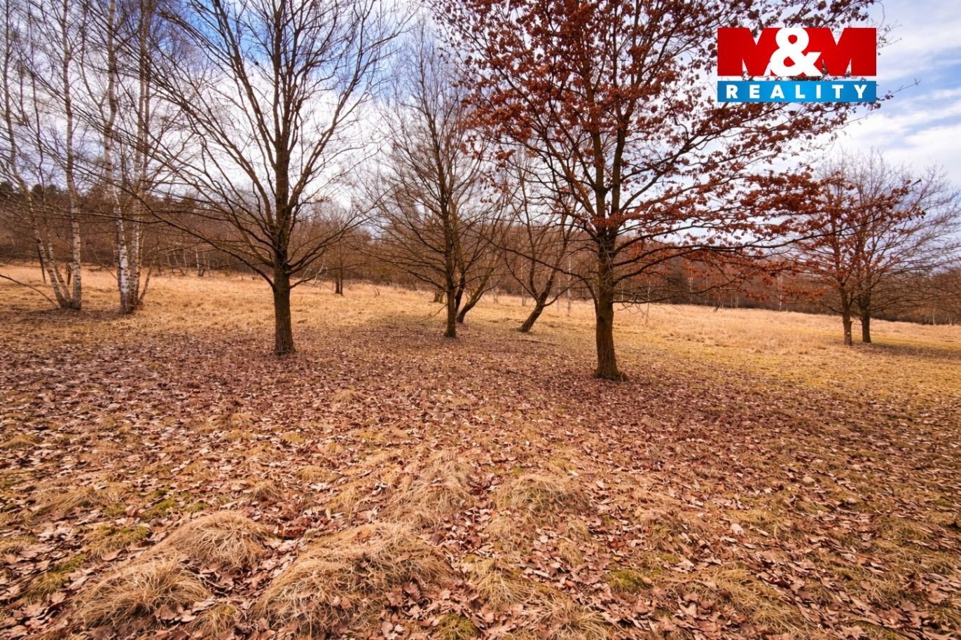 image_53206641-236F-437E-A9E3-C8E82D1590F8_1771093203.png