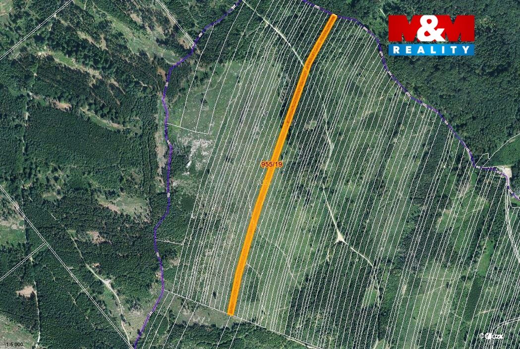 mapka